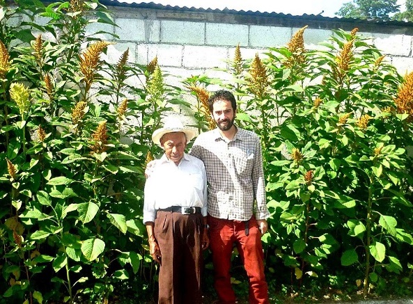 Potentiale und Geschichte des Amaranth: Workshop Colectivo GuateBuena / becamino e.V.